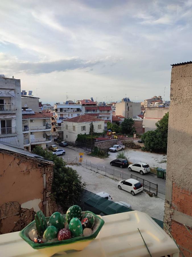 Ferienwohnung Ονειροπαγίδα Veria  Exterior foto